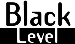 Black Level Lingerie